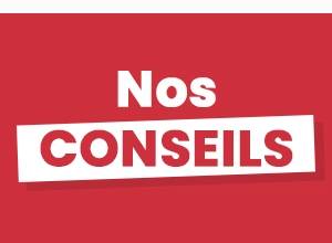 Nos conseils rongeurs & co