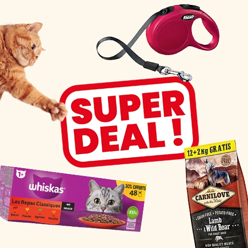 Super Deal