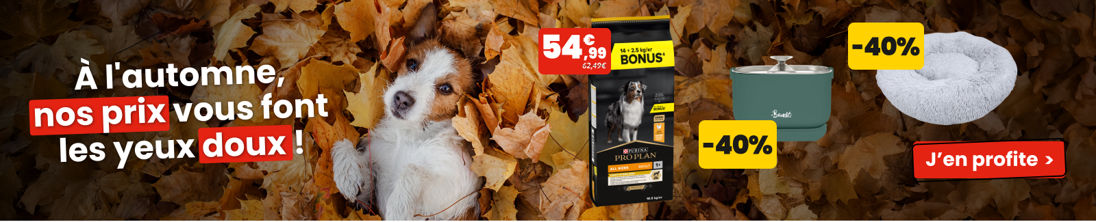 A l'automne, nos prix vous font les yeux doux A l'automne, nos prix vous font les yeux doux