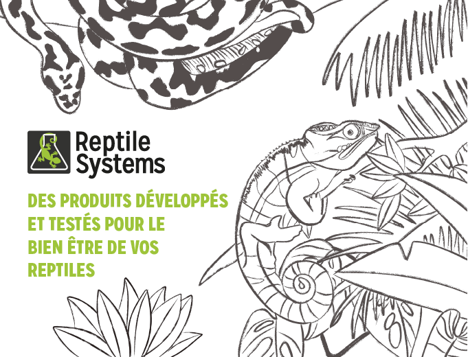 Bloc Reptiles desktop