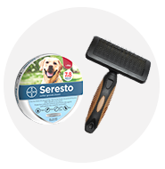 Chaussette pour chien animalis 2025