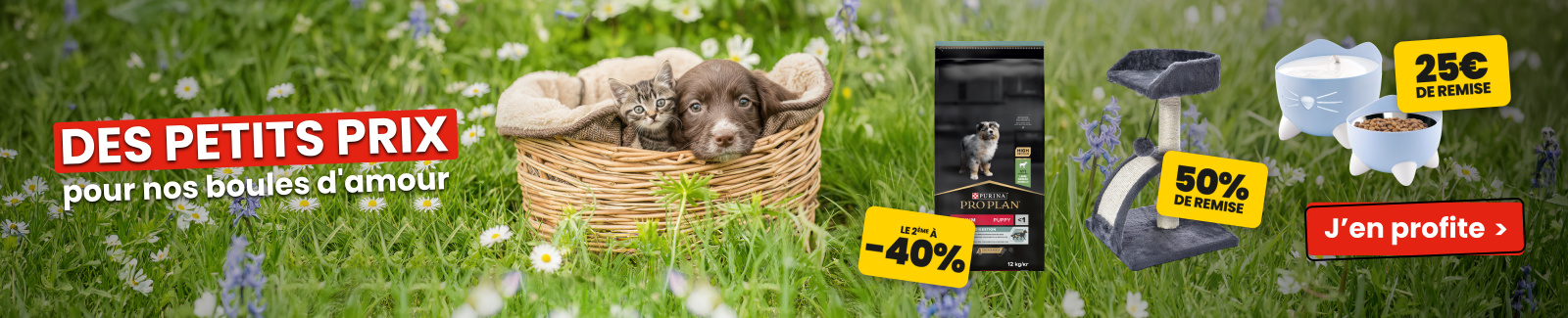 Des petits prix pour nos boules d'amour