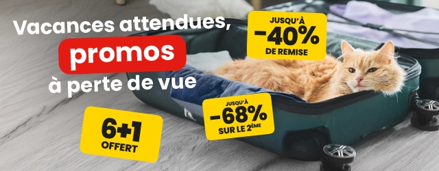 Vacances attendues