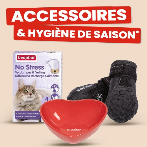 Alimentation et Accessoires