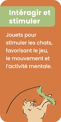 Interagir et stimuler