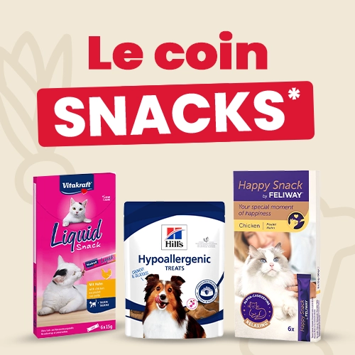 Le coin snacks