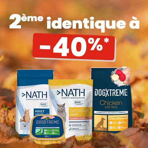 Prêt pour la balade