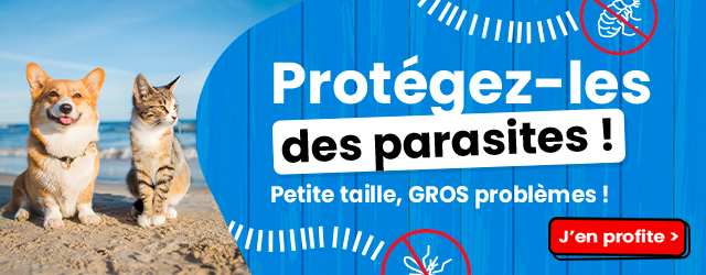Antiparasitaires