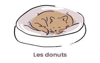 Les donuts Chats