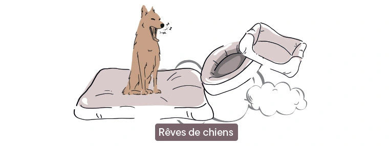 Camas para perros