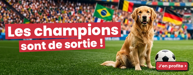 Les champions sont de sortie