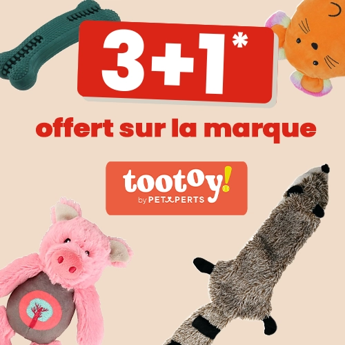 Prêt pour la balade