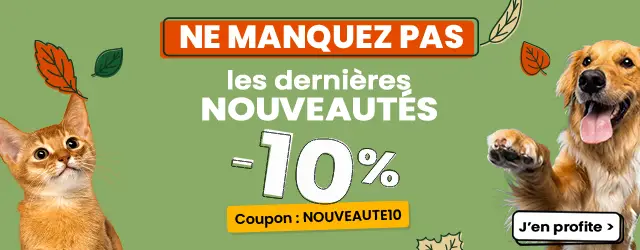 Nouveautés