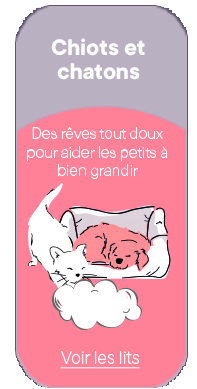 Chiots et chatons Leeby