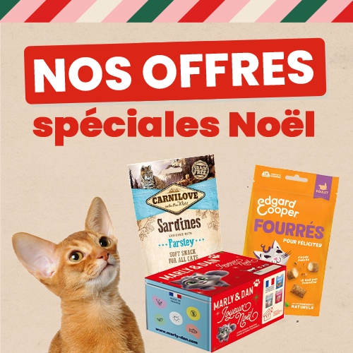 Alimentation et Accessoires