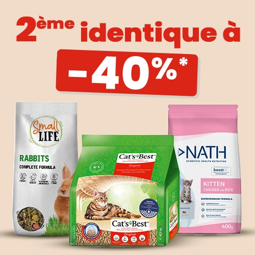 Prêt pour la balade