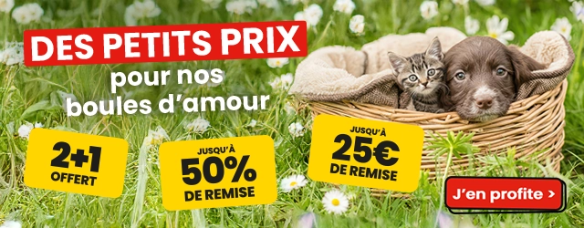 Des petits prix pour nos boules d'amour