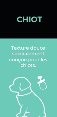Chiots et chatons Leeby