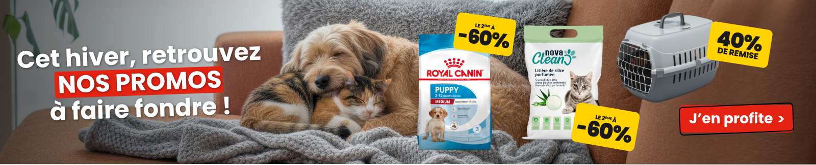 Des promos &agrave; faire fondre!