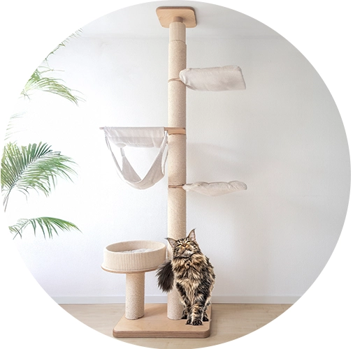 Grand arbre à chat