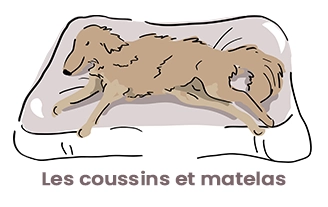 Les coussins et matelas 