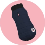 Manteau chien