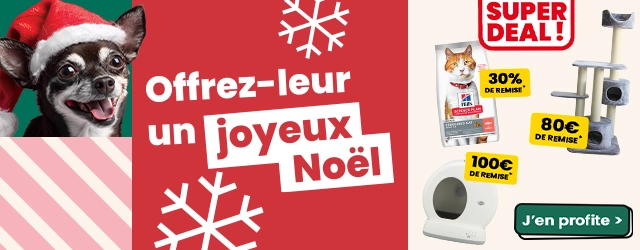 Dépliant noel