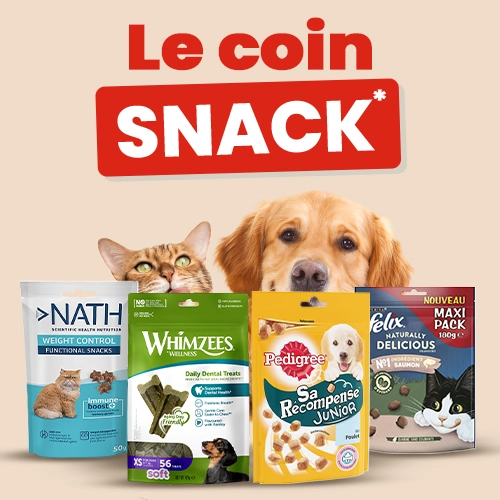 Un Noël truffement magique !