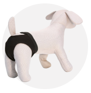 Matériel de toilettage chiens