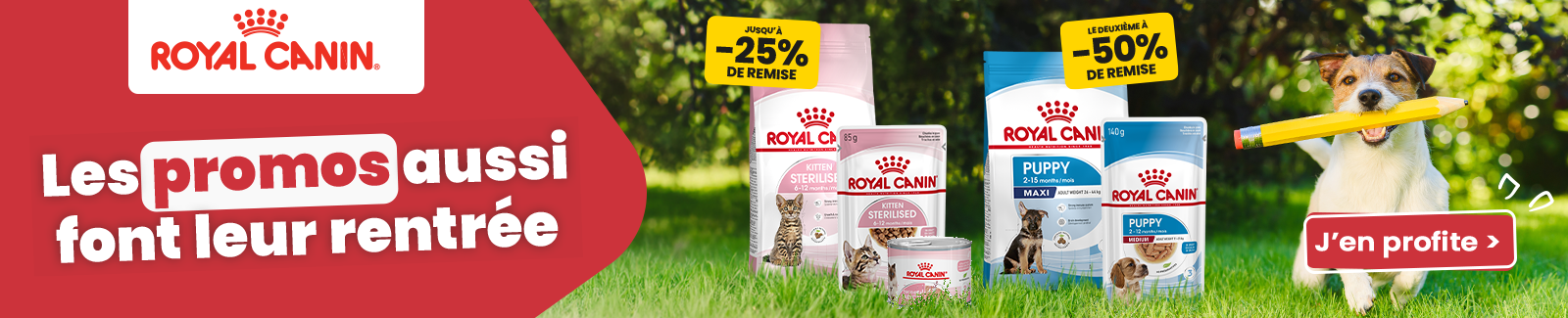 Royal Canin
