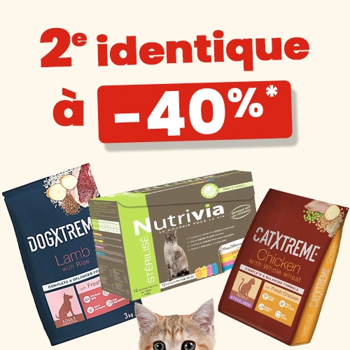 2ème à -40%