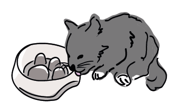 Les gamelles antigloutons