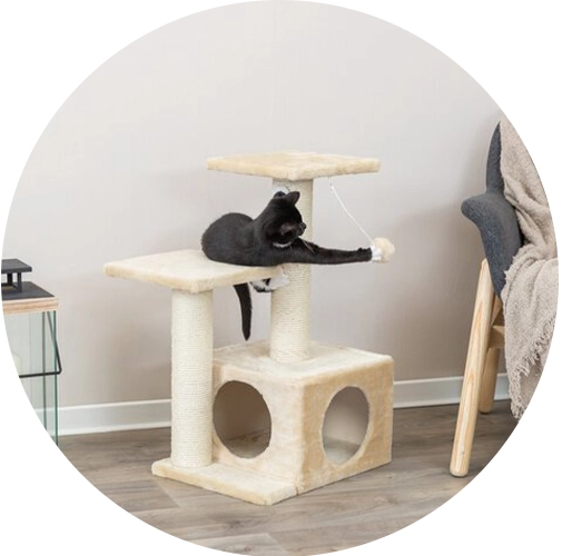 Arbre à chat petit prix 