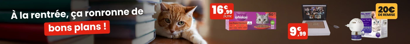 Bons plans de la rentrée
