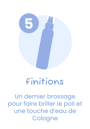 Les finitions
