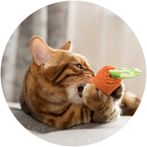 Jouets