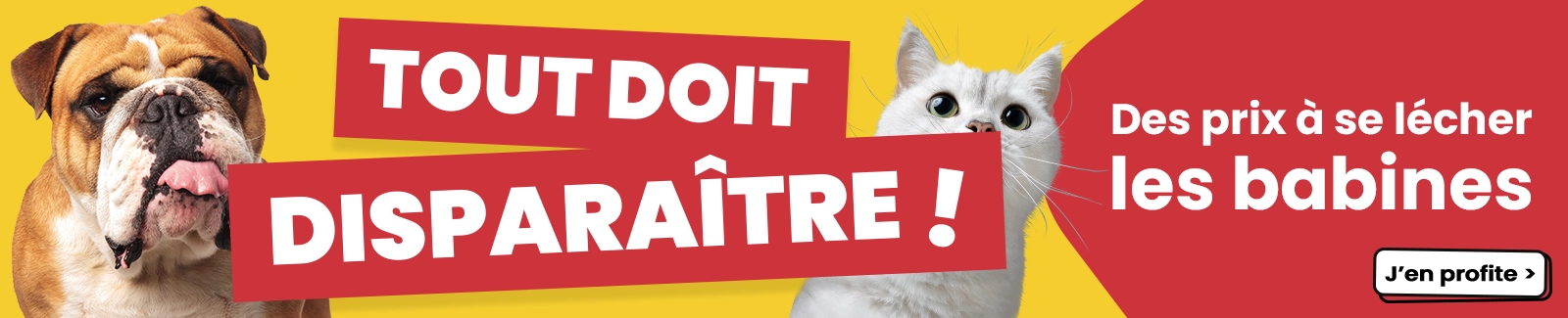 Tout doit disparaitre