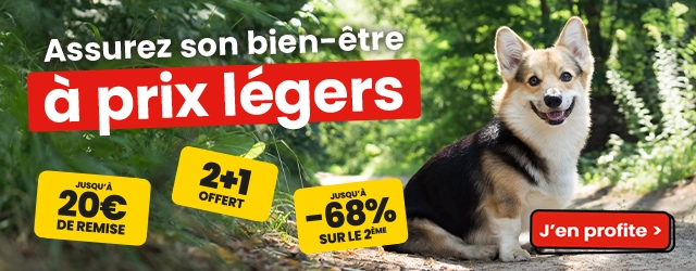 Assurez son bien-être à prix légers !