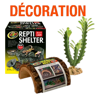 Decoration