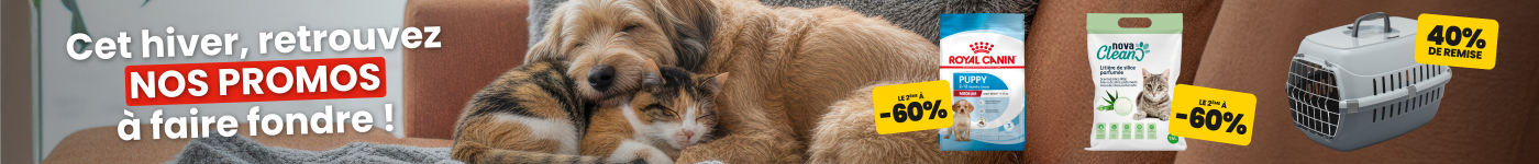 Sommeil assuré à prix légers