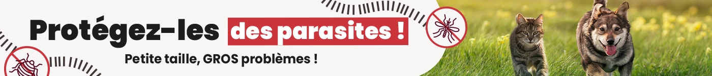 Antiparasitaires Antiparasitaires