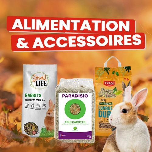 Alimentation et Accessoires