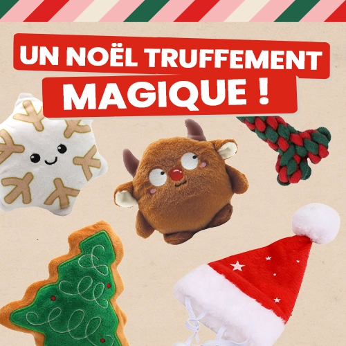 Un Noël truffement magique !
