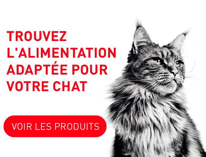 Purina One : croquettes chiens, chats, patés, Truffaut