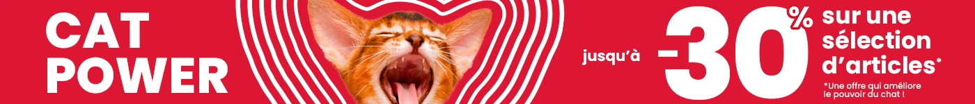 Cat Power