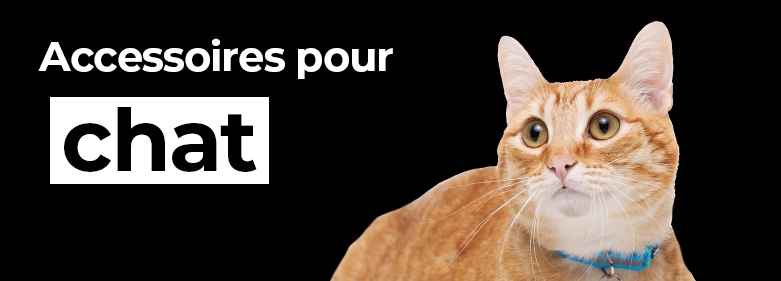 Sellerie pour chat