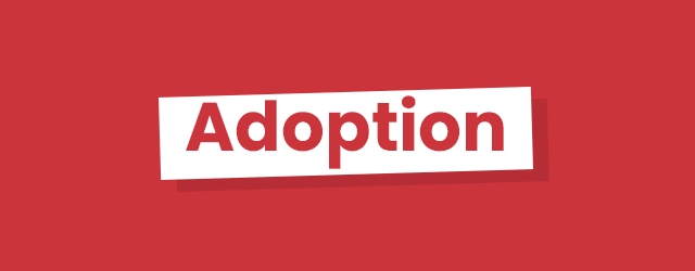 Adoption