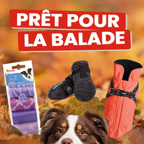 Prêt pour la balade
