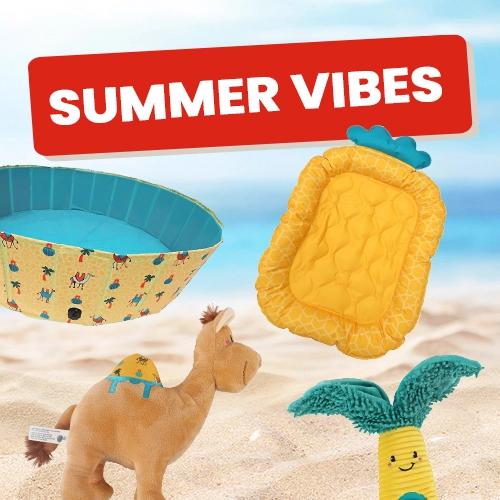Summer Vibes