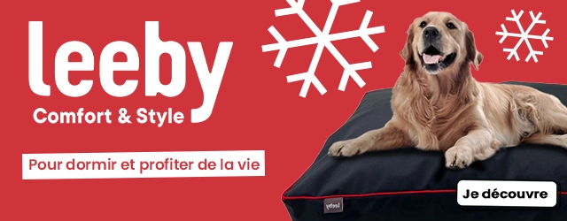 Dépliant noel